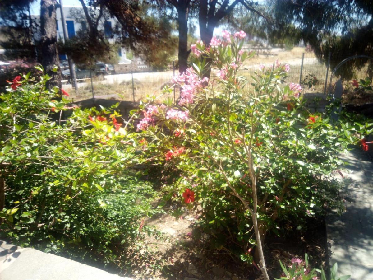 Little Stone House Near The Beach Agios Ioannis  Esterno foto